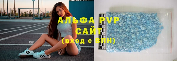 стафф Вязьма